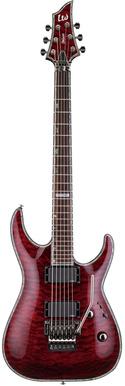Foto ESP LTD H-1001QM FR STBC