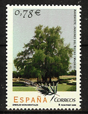 Foto Espa�a Spain 4149 2005 �rboles Monumentales Flora Ahueahuete  Retiro Madrid Mhn