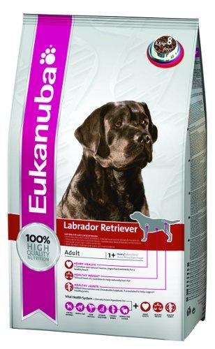 Foto Eukanuba Labrador Retriever 12 Kg