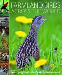 Foto Farmland Birds across de world