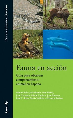 Foto Fauna en acción. Guí para observar comportamiento animal en España
