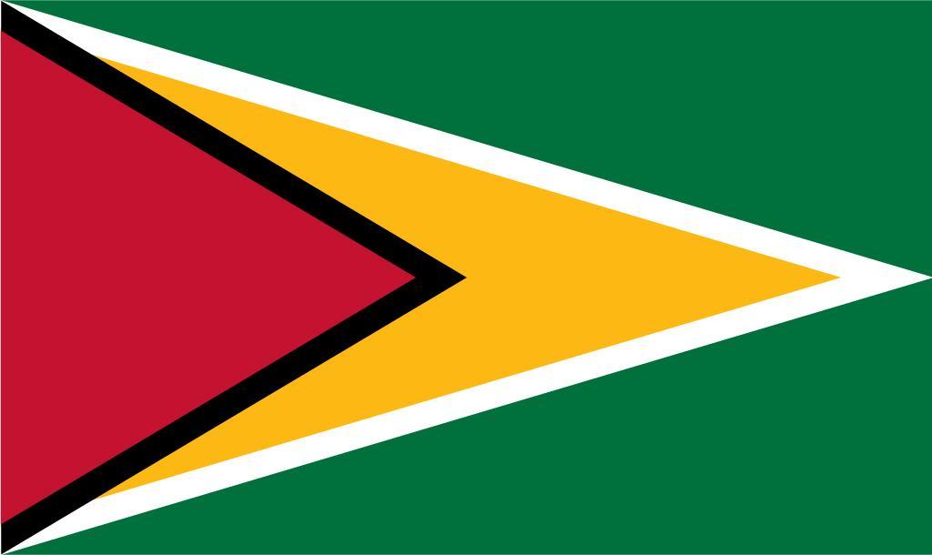 Foto Flag 3ft X 5ft (90cm X 150cm) - Guyana
