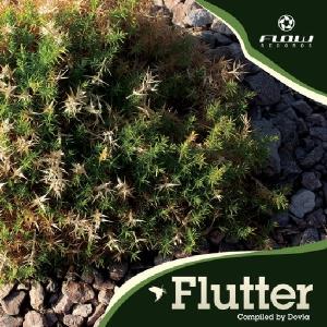 Foto Flutter CD Sampler