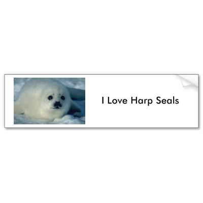 Foto Foto blanca de la foca de Groenlandia de un perrit Pegatina De...