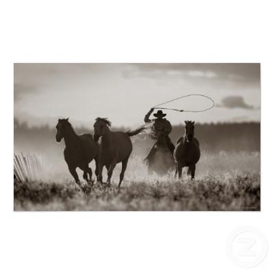 Foto Foto blanco y negro de los caballos de un Lassoing Posters