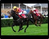 Foto Foto del ratón MAT of Caballo de carreras - el trofeo de Racing...