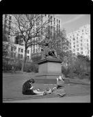 Foto Foto del ratón MAT of Clima - escenas de primavera - Londres...