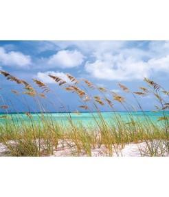 Foto Fotomural komar ocean breeze