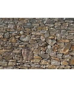 Foto Fotomural komar stone wall