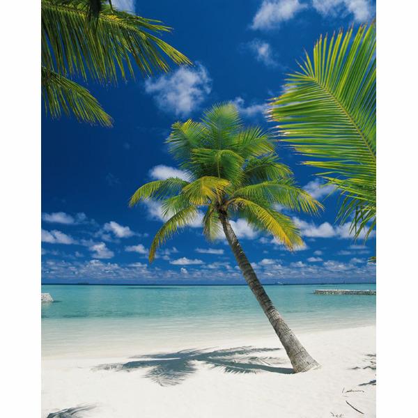 Foto Fotomural La Maison Ariatoll
