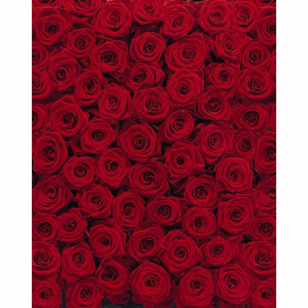 Foto Fotomural La Maison Roses