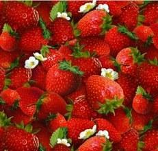 Foto Fresas ecológicas del maresme (caja 2 kg)