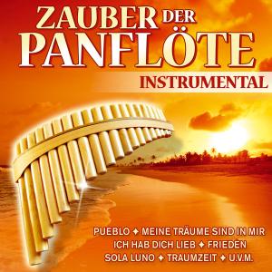 Foto Friedbert Kerschbaumer: Zauber Der Panflöte/Instrume CD