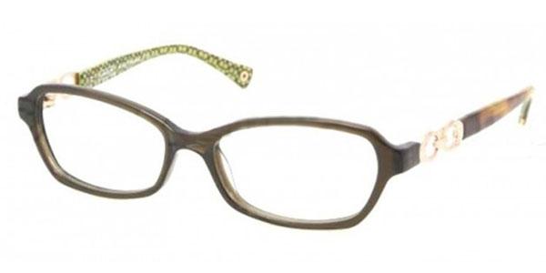 Foto Gafas Coach Vanessa HC6017 5036