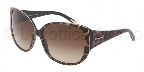 Foto Gafas de sol - Dolce & Gabbana - DG4116 - 199513 LEOPARD BROWN GRADIENT