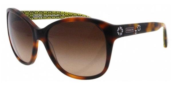 Foto Gafas de Sol Coach Kendall HC8017 503113