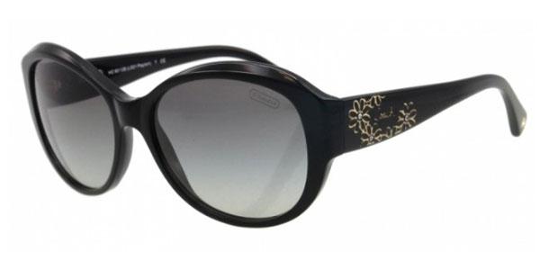 Foto Gafas de Sol Coach Payton HC8010B 500211