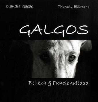 Foto GALGOS: Belleza & Funcionalidad