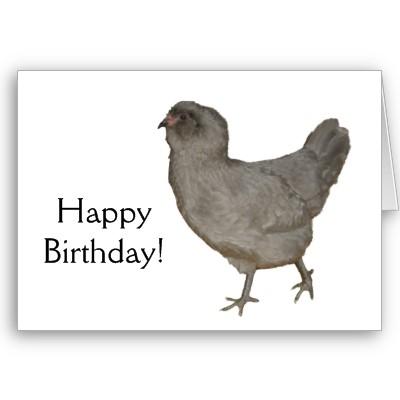 Foto Gallina rara de la raza de Ameraucana de la lavand Felicitación