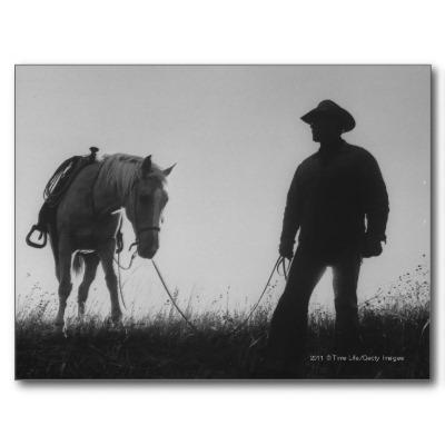 Foto Ganado-impulsión de Dakota del Sur Tarjeta Postal