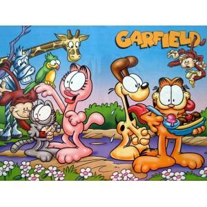Foto Garfield