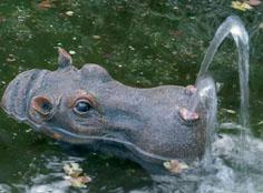 Foto Gargola p/fuente estanque hipopotamo