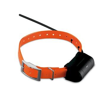 Foto Garmin DC 40, collar GPS de seguimiento para perros