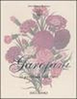 Foto Garofani. Il profumo dei fiori