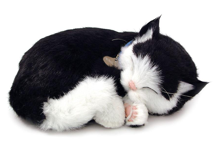 Foto Gato black & white que respira, peluche perfect petzzz