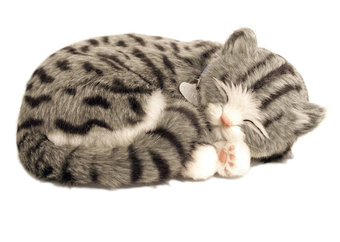 Foto Gato gray tabby que respira, peluche perfect petzzz