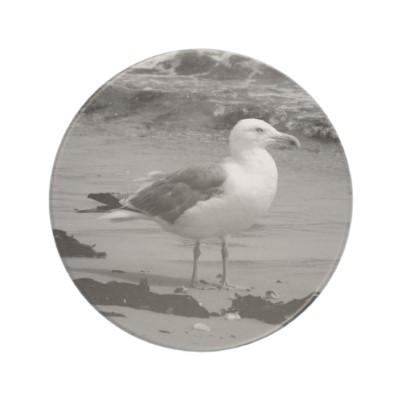 Foto Gaviota (blanco y negro) Posavaso Para Bebida