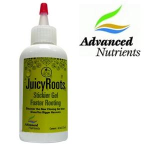 Foto Gel de Enraizamiento Advanced Nutrients Juicy Roots 60g