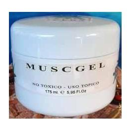 Foto Gel muscgel, masajes, golpes, contracturas, aloe vera, 175 ml. dedieta