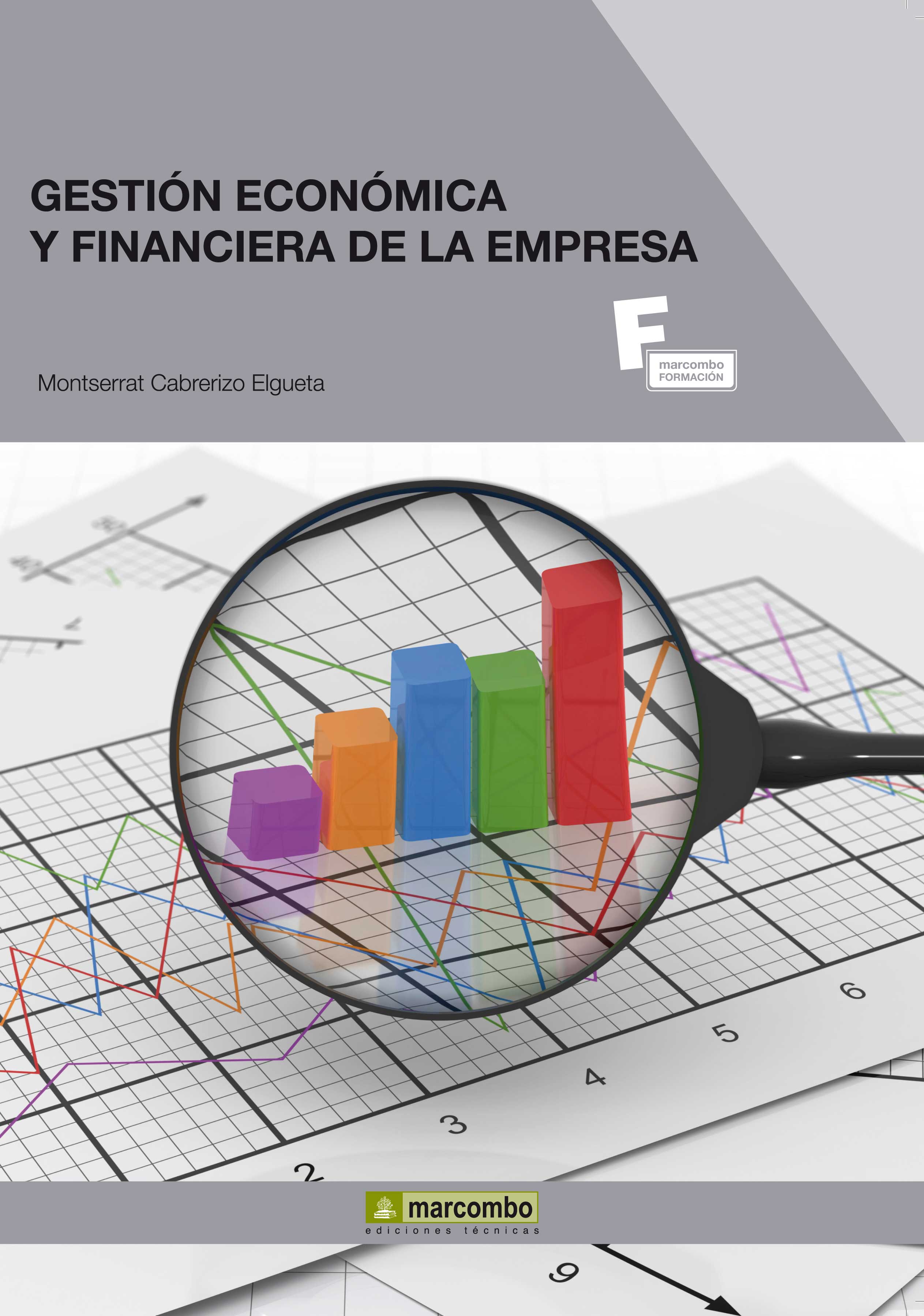 Foto Gestion economica y financiera de la empresa (en papel)