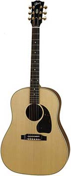 Foto Gibson J-45 Rosewood Custom AN