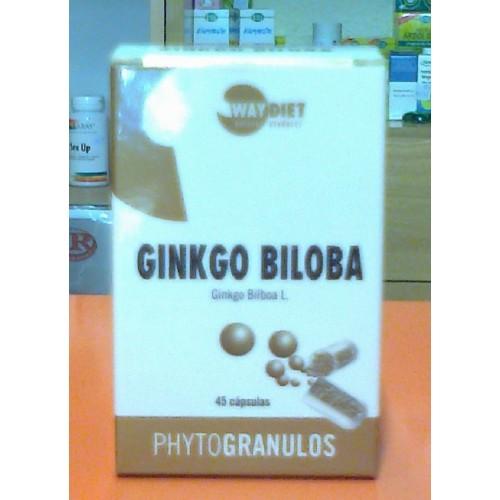 Foto Ginkgo Biloba