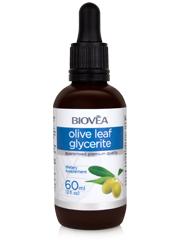 Foto Glicerito De Hoja De Olivo 60ml