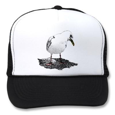 Foto Gorra fresco de la gaviota