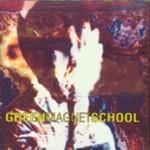 Foto Green Magnet School Blood Music Lp . Sonic Youth Mudhoney Smashing Pumpkins