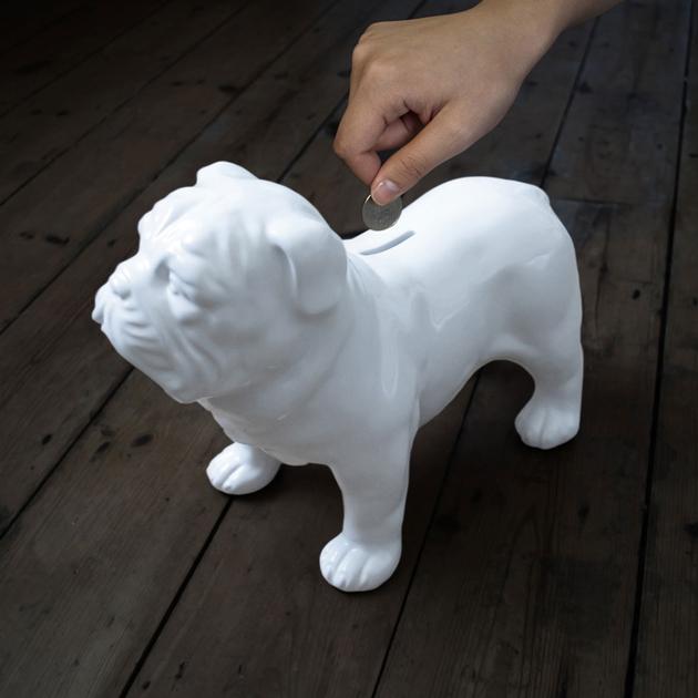 Foto Guardian Dog Money Box