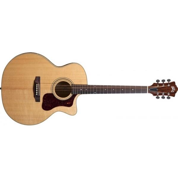 Foto Guild f-50ce w/d-tar wave-length