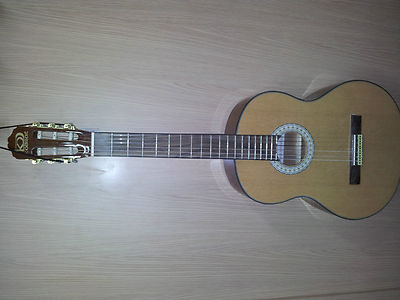 Foto Guitarra  Clasica  Espa�ola Con Accesorios
