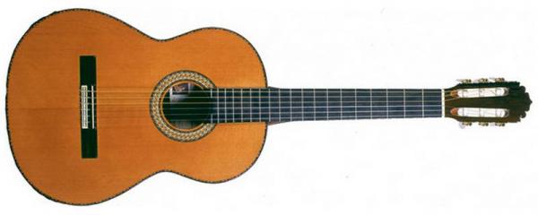 Foto Guitarra clasica fg