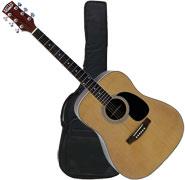 Foto Guitarra Dallas WT80NT-Bag Acustica Con Funda