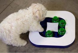 Foto Hagen DOGIT MIND JUGUETE INTERACTIVO