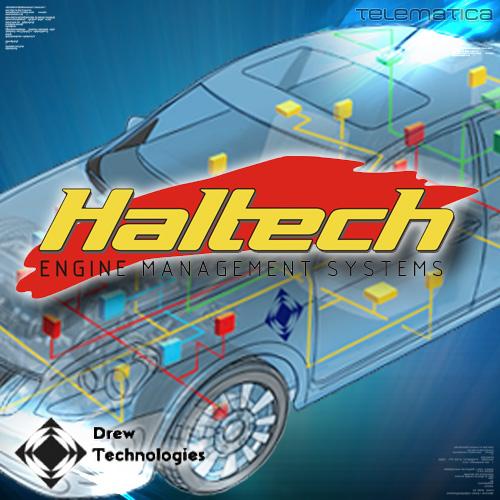 Foto Haltech license