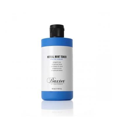 Foto Herbal Mint Toner (Tónico de menta)