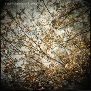 Foto Horse Feathers: Thistled Spring CD