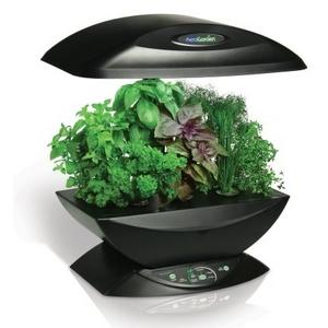 Foto huerto urbano eléctrico/invernadero hidropónico aerogarden (negro)