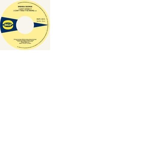 Foto I Cant Stand It Vinyl Maxi Single